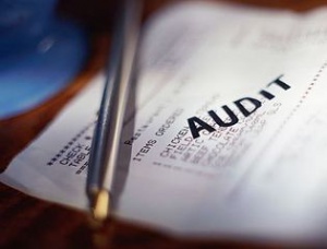 Аудиторская деятельность Аудиторская деятельность